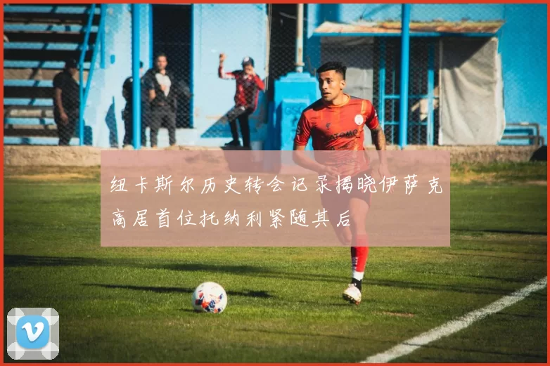 纽卡斯尔历史转会记录揭晓伊萨克高居首位托纳利紧随其后