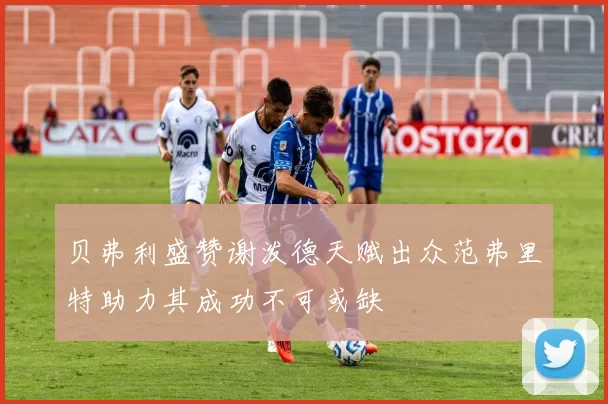 贝弗利盛赞谢泼德天赋出众范弗里特助力其成功不可或缺